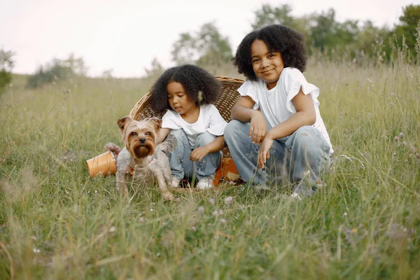 两个小女孩在柳条篮里 带着约克郡的特瑞尔犬在阳光下 快乐的孩子们在田里的草地上的大自然 非洲女孩 黑发卷曲 — 图库照片