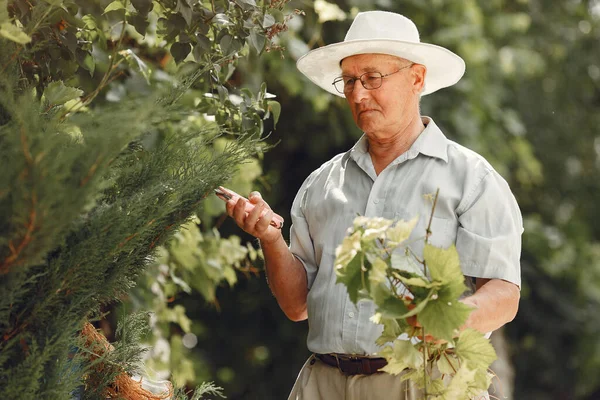 Stock image Senior gardener is enjoying his work in garden. Old man in a white shirt.