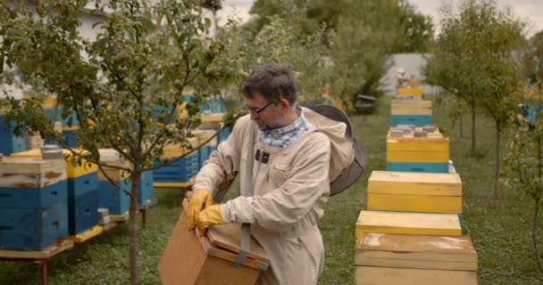Profesjonalny Pszczelarz Trzymający Nowe Kadry Dla Uli Pszczół Przygotowanie Pracy — Wideo stockowe