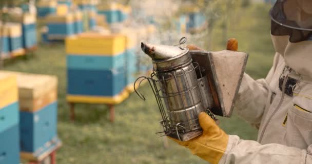農場の庭で煙の巣ツールで経験豊富な正の養蜂家 アピアリスト ハニカム検査 養蜂業 — ストック動画