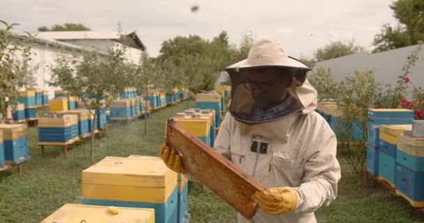 身穿白色防护服 留着小胡子的雄性养蜂人 手拿蜂箱工具 站在蜂箱后面 转动蜂箱检查蜂箱 有很多蜂窝里塞满了蜂蜜和蜡 — 图库视频影像