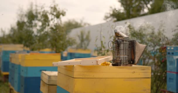Palacz Pszczół Urządzenie Pszczelarskie Cylinder Stali Nierdzewnej Pokrywą — Wideo stockowe