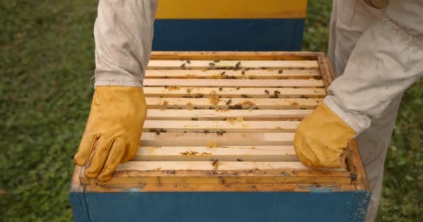 身穿白色防护服 留着小胡子的雄性养蜂人 手拿蜂箱工具 站在蜂箱后面 转动蜂箱检查蜂箱 有很多蜂窝里塞满了蜂蜜和蜡 — 图库视频影像