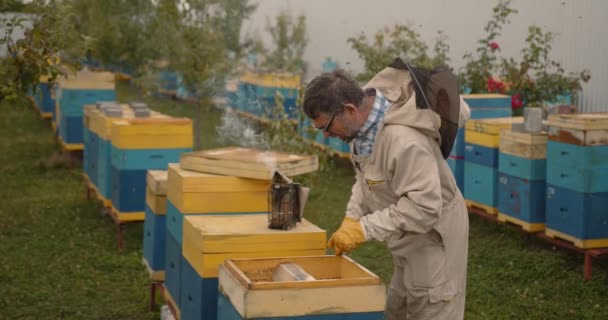 Έμπειρος Θετικός Μελισσοκόμος Εργαλείο Κυψέλης Καπνού Στον Κήπο Του Αγροκτήματος — Αρχείο Βίντεο