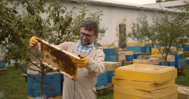 Junge Männliche Bärtige Imker Weißen Schutzanzügen Die Hinter Dem Bienenstock — Stockvideo