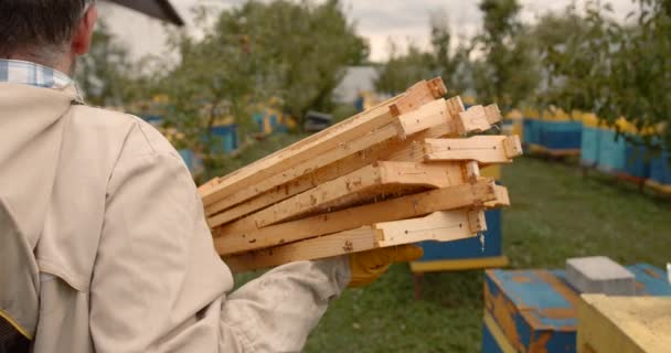 Berufsimker Halten Neue Frames Für Bienenstöcke Vorbereitung Auf Den Imkerberuf — Stockvideo