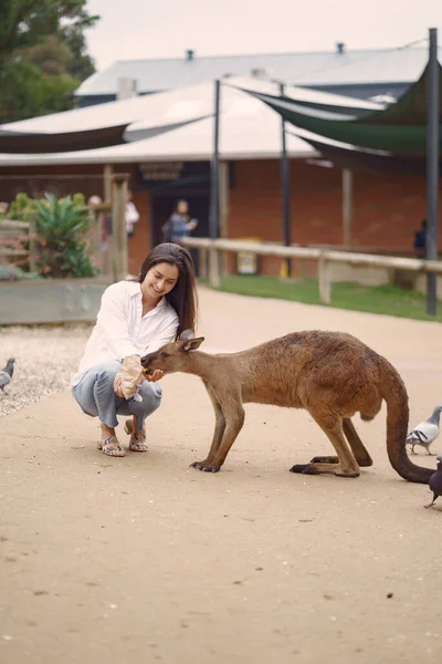 Woman Reserve Australia Playing Feeding Kangaroos — Stock Photo, Image