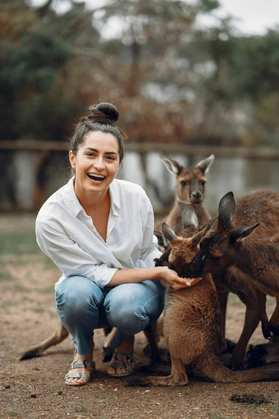Avustralya Daki Rezerv Bölgesinde Kanguru Besleyen Oynayan Bir Kadın — Stok fotoğraf
