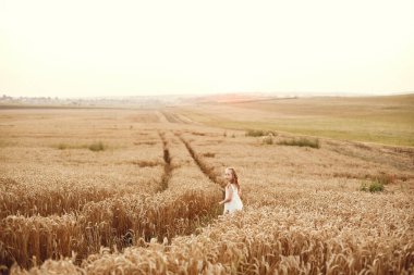 Yaz buğday tarlasında bir çocuk. Beyaz elbiseli küçük kız..
