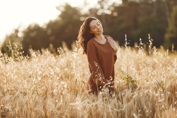 Woman Summer Field Brunette Brown Sweater Girl Sunset Background — Fotografie, imagine de stoc