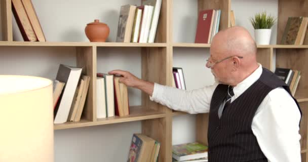 一位年长的作家 留着白胡子和眼镜坐在马车上 用放大镜研究一本书 — 图库视频影像
