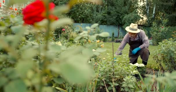 Садівництво Людина Копає Садовий Грунт Допомогою Розпилювача Квітковий Сад — стокове відео