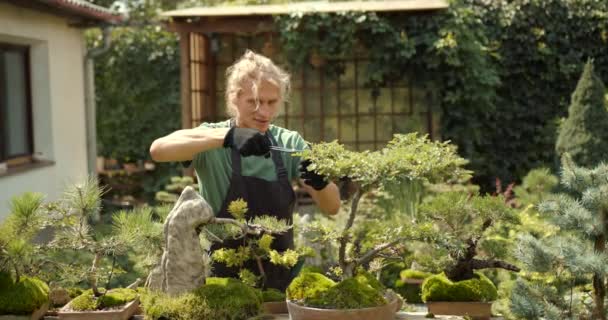 Junger Mann Entspannt Sich Garten Kümmert Sich Pflanzen Blüten Und — Stockvideo