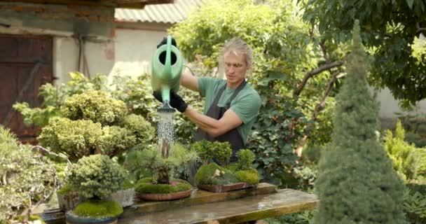 植物园和人在温室小生意 农业或花卉业的年轻快乐工作者 — 图库视频影像