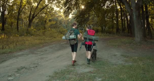Caminhantes Felizes Casal Andando Floresta Verde Caminhadas Fundo Paisagem Natureza — Vídeo de Stock