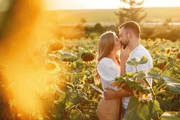 Young Loving Couple Kissing Sunflower Field Portrait Couple Posing Summer — Foto de Stock