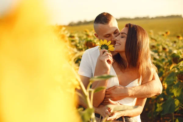 Young Loving Couple Kissing Sunflower Field Portrait Couple Posing Summer — Photo