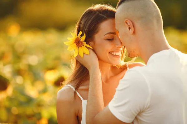 Young Loving Couple Kissing Sunflower Field Portrait Couple Posing Summer — Φωτογραφία Αρχείου