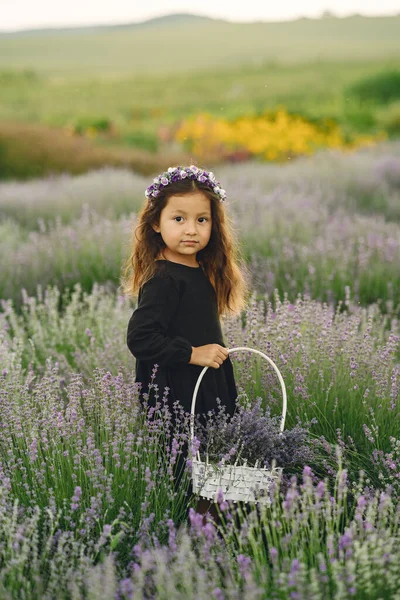 Kind Der Provence Entspannt Sich Lavendelfeld Kleine Dame Schwarzen Kleid — Stockfoto