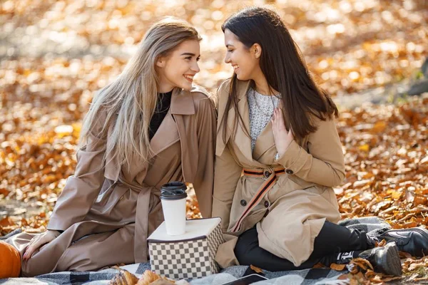 Két Gyönyörű Női Barát Pikniken Tölti Idejét Fűben Két Fiatal — Stock Fotó