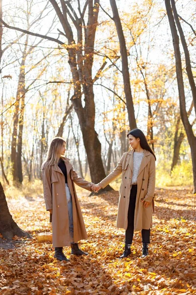 两个漂亮的女性朋友在一起 两个笑着的妹妹在秋天的公园里散步 穿着外套的布鲁内特和金发女孩 — 图库照片