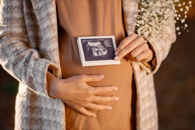 Close up of an expecting pregnant woman wearing a brown shirt and beige jacket and holding her belly outdoor. A cropped image of pregnant woman in the autumn park. Woman holding a ultrasound image of