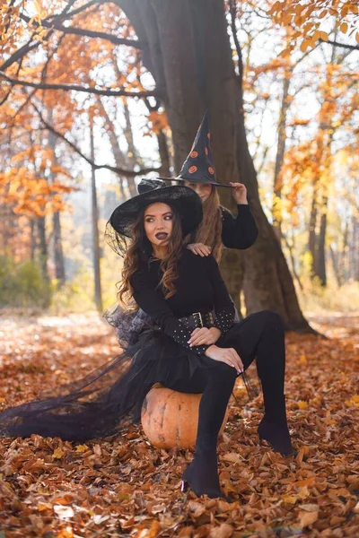 Woman Sitting Pumpkin Little Girl Standing Autumn Forest Mother Play — Φωτογραφία Αρχείου