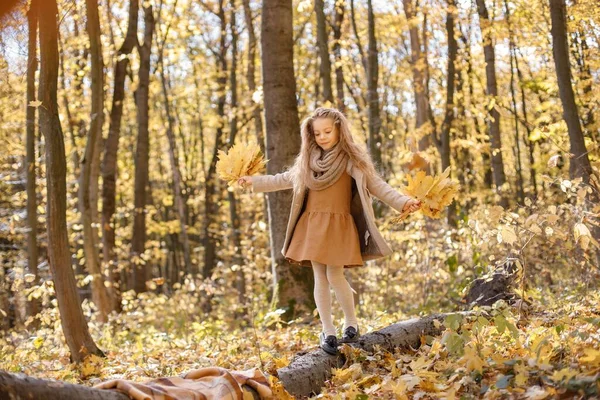 Dziewczynka Ubraniach Mody Spaceruje Jesiennym Lesie Dziewczyna Żółtymi Liśćmi Dziewczyna — Zdjęcie stockowe
