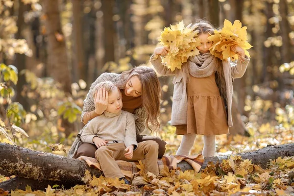 Mladá Žena Holčička Chlapec Kráčející Podzimním Lese Žena Její Dcera — Stock fotografie