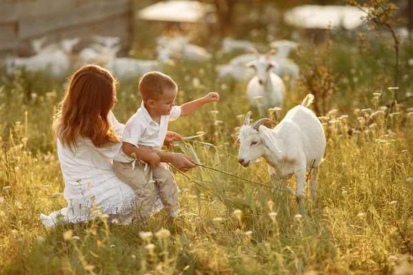 Family in a farm. People playing with a goats. Mother with son.