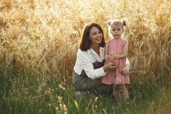 Family in a summer field. Sensual photo. Cute little girl.