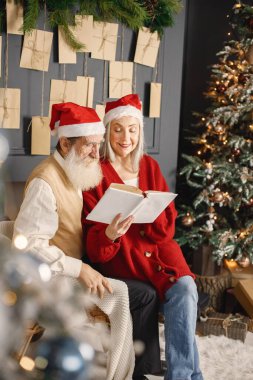 Son sınıf öğrencisi, Noel ağacının yanında karısıyla birlikte Noel 'i kutluyor. Yaşlı, sakallı, karısı gri saçlı bir adam oturuyor ve kitap okuyor. Beyaz kazak giyen bir adam ve kırmızı bir kadın, kırmızı bir tane var.