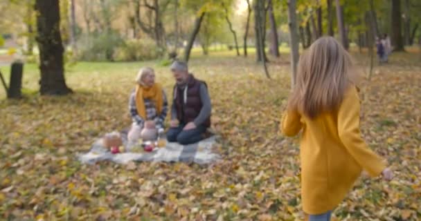 Vapaa Ajan Ihmisten Käsite Isovanhemmat Tyttärentytär Piknikillä Juomassa Teetä Syksyllä — kuvapankkivideo