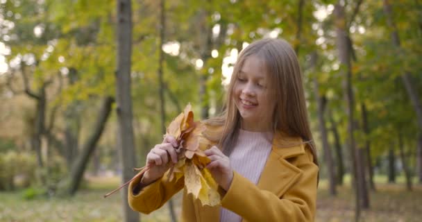 秋天的季节一个穿着黄色外套的女孩站在金黄色的公园里 收集树叶 — 图库视频影像