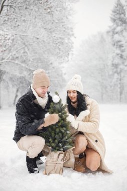 Genç bir adam ve bir kadın tencerede küçük bir Noel ağacı taşıyor. Kışın sıcak ceketli romantik bir çift parkta yürüyor ve sarılıyorlar. Kış kıyafetleri ve örgü şapkalar giyen kadın ve erkek..
