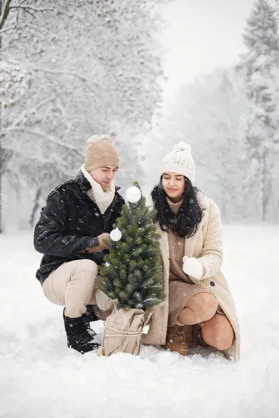 Young man and woman carry a little Christmas tree in a pot. Romantic couple at winter in warm jackets walk in the park and hugging. Man and woman wearing winter clothes and knitted hats.