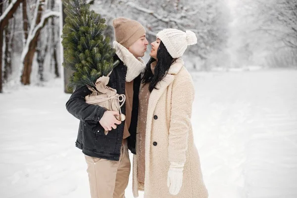 Young man and woman carry a little Christmas tree in a pot. Romantic couple at winter in warm jackets walk in the park and hugging. Man and woman wearing winter clothes and knitted hats.