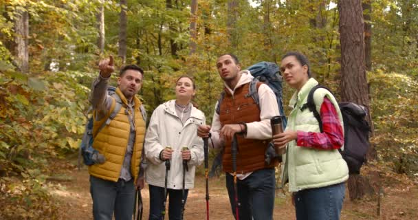 Молодые Мужчины Женщины Туристы Прогулке Лесу Осенний Сезон Активный Отдых — стоковое видео