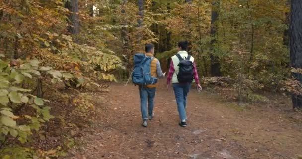 Młodzi Turyści Spacerują Lesie Jesienny Sezon Aktywny Wypoczynek Górach — Wideo stockowe