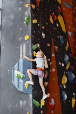 Tırmanma sporunda küçük bir kız. Kız, spor kıyafetleri ve güvenlik ekipmanlarıyla yapay duvara tırmanıyor. Şort ve tişört giyen sarışın kız..
