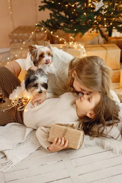 Genç anne ve kızı, köpekleri Yorkshire Teriyerleriyle birlikte Noel atmosferinde yerde yatıyorlardı. Kız ve annesi Noel ışıklarına sarılıp eğleniyorlar. Bej örgülü bir aile.