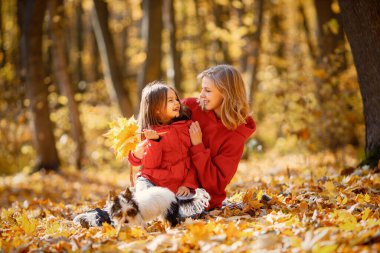 Young woman with little girl sitting on a blanket in autumn forest. Blonde woman play with her daughter and holding yorkshire terrier dog. Mother and daughter wearing jeans and red jackets.