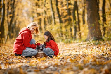 Young woman with little girl walking in autumn forest. Blonde woman play with her daughter and yorkshire terrier dogs. Mother and daughter wearing jeans and red jackets.