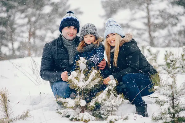 Aile kış parkında eğlenir. Mavi ceketli şık bir anne. Kışlık elbiseli küçük kız. Babası ve tatlı kızı.