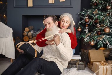 Son sınıf öğrencisi, güzel Noel ağacının yanında karısıyla Noel 'i kutluyor. Yaşlı sakallı adam, gri saçlı ve elinde hediyelerle karısının yanında yerde oturuyor. Beyaz kazak giyen adam ve kadın