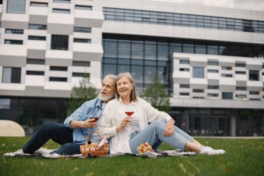 Yazın çimlerin üzerinde battaniyenin üzerinde oturan beyaz yaşlı bir çift. Kadın ve erkek şarap içiyor. Beyaz tişörtlü kadın ve mavi erkek..