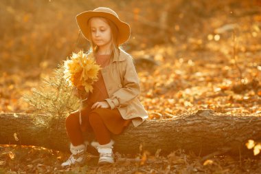 Sonbahar parkında tatlı bir çocuk. Sarışın, zarif küçük bir bayan. Kahverengi ceketli kız..