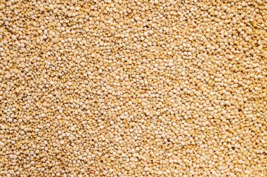Tüm resmi kaplayan ham kinoa tohumları
