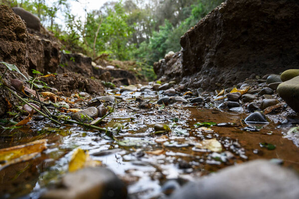 small canyon and small river taken from close to the ground