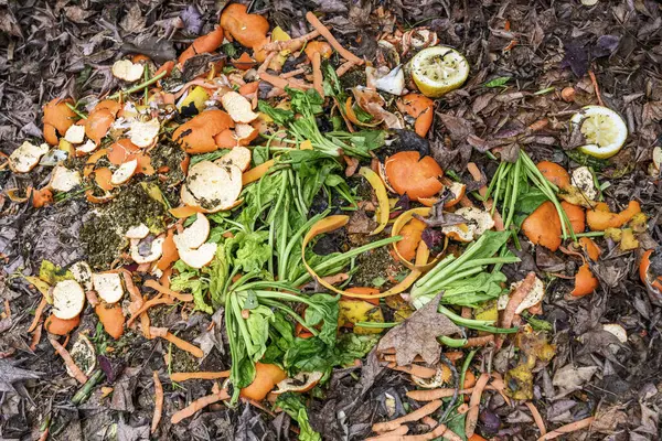 stock image kitchen waste and dry leaves in the compost pile